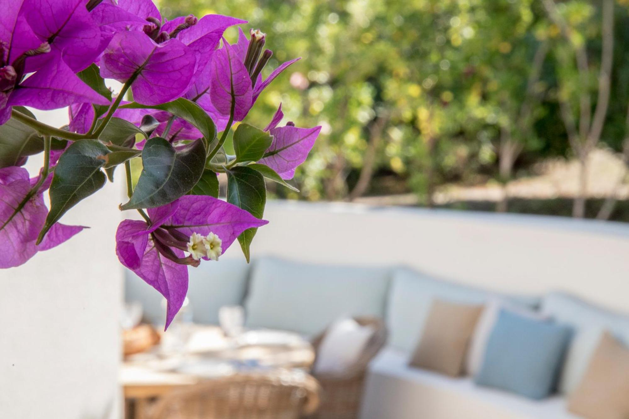 Boutique Hotel Chateau Rouher Propriano  Bagian luar foto